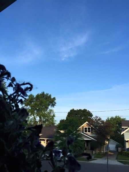 photo 2781dc0a-e3a3-4e89-84a7-61e698445f9c_zpswmspkd6x.jpg