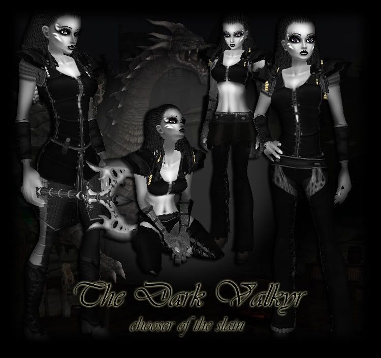 the dark valkyrie bundle