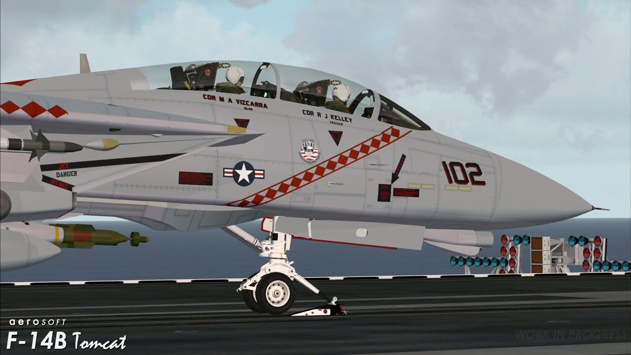 AerosoftF-14A-110.jpg