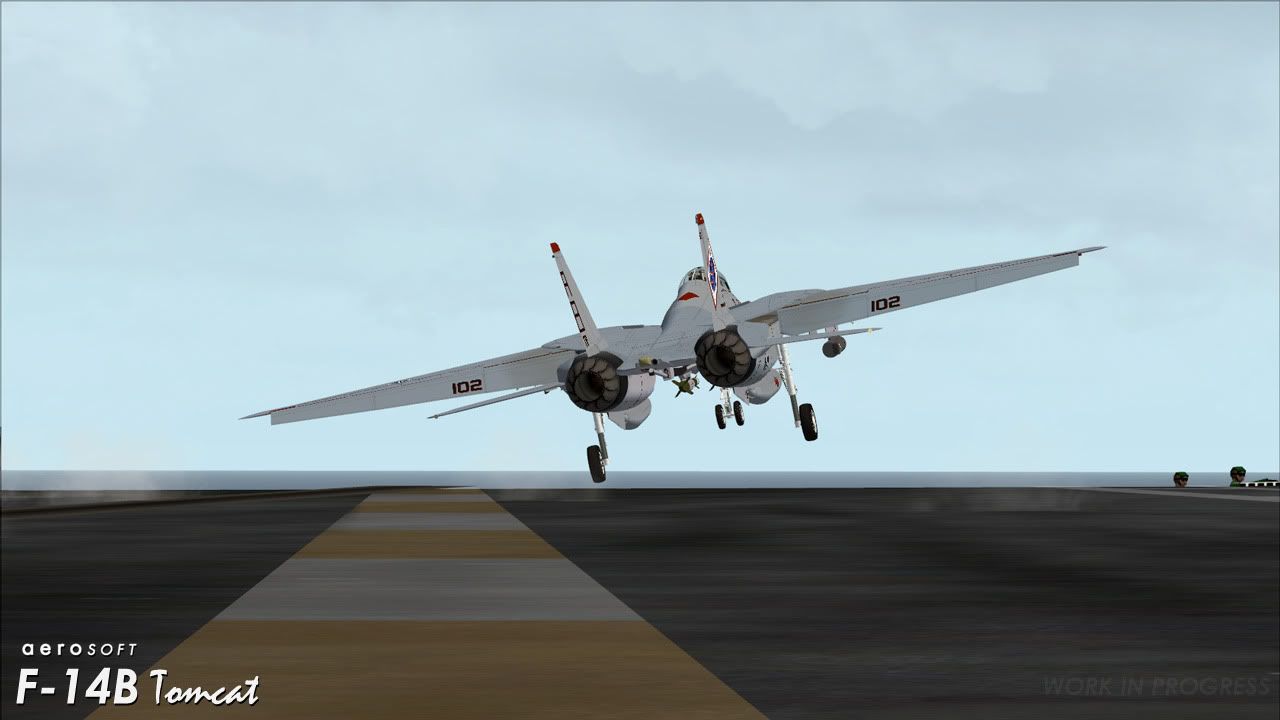 AerosoftF-14A-111.jpg