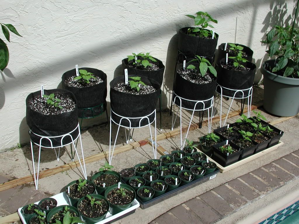 Fabric Pots