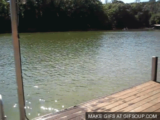 ShitJump.gif