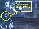 hantu kepala diatas pohon.jpg