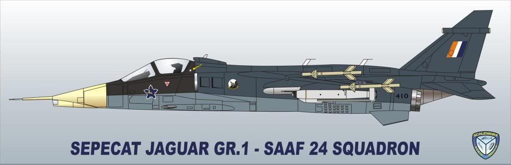 Jaguar-24Sqdn.jpg