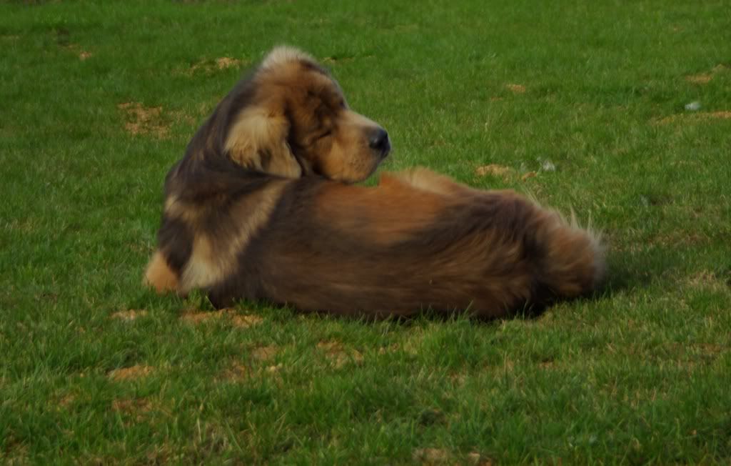 У родителей было хорошо... Особенно псюну