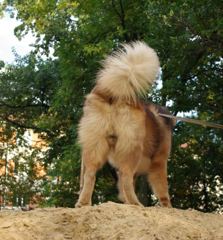 Зима нечаянно нагрянет... 