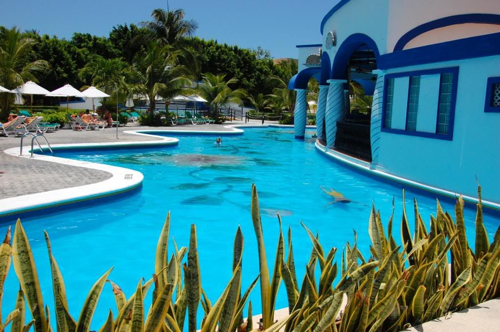 swimming pool of riu palace mexico