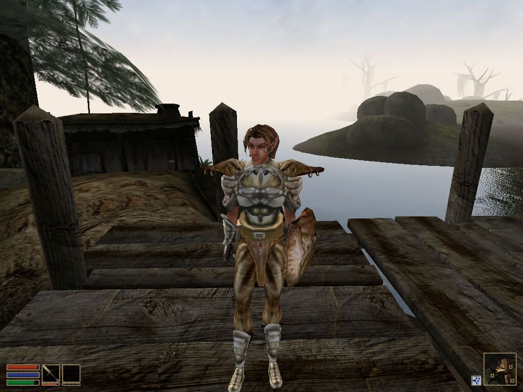 morrowind, elder, scroll, game, brave heart, sai