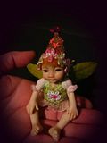 Baby Fairie Karina