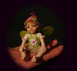 Baby Fairie Karina