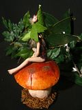 Ooak Fairy Tale Sim on the Mushroom