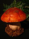 Ooak Fairy Tale Sim on the Mushroom