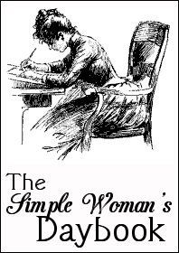  photo simple-woman-daybook-large_zpsc83krfbg.jpg