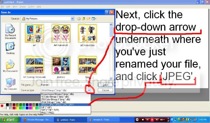 User Image