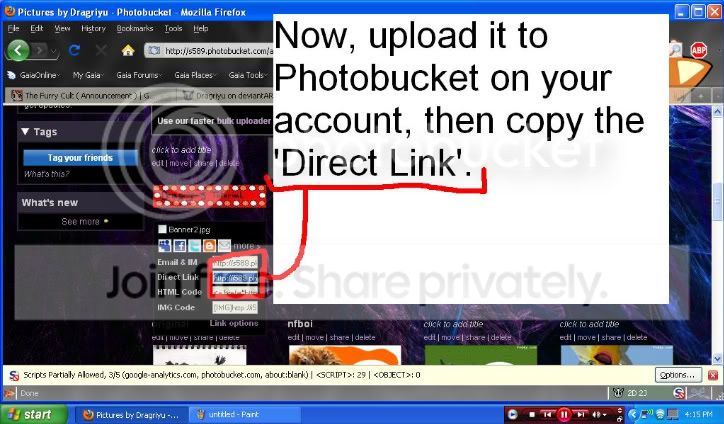 User Image